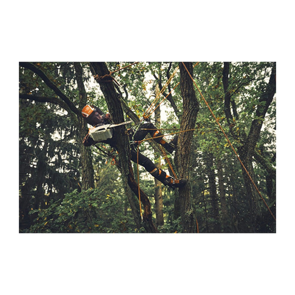 Cordless Chainsaw MSA 190 T AP System STIHL Blade 30cm SOLO