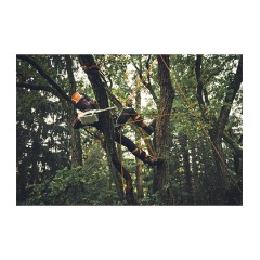 Cordless Chainsaw MSA 190 T AP System STIHL Blade 30cm SOLO