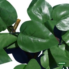 Φυλλωσιά Συνθετική με Πέργκολα Ξύλινη Πράσινο Σκούρο 1x2m Grasher