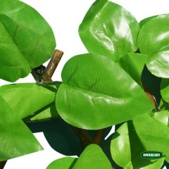 Φυλλωσιά Συνθετική με Πέργκολα Ξύλινη Πράσινο Ανοιχτό 1x2m Grasher