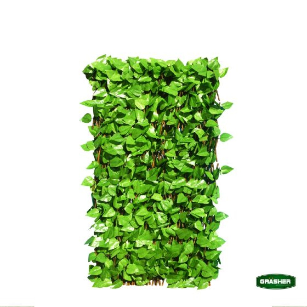 Φυλλωσιά Συνθετική με Πέργκολα Ξύλινη Πράσινο Ανοιχτό 1x2m Grasher