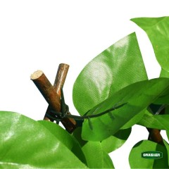 Φυλλωσιά Συνθετική με Πέργκολα Ξύλινη Πράσινο Ανοιχτό 1x2m Grasher