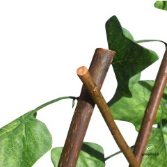 Dark Green Synthetic Foliage with Wooden Trellis 1×2 m Green Tools