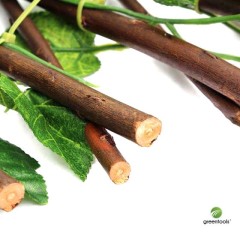 Dark Green Synthetic Foliage with Wooden Trellis 1×2 m Green Tools