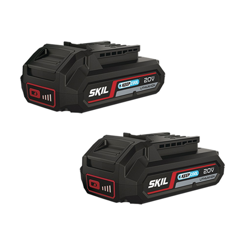 Σετ Δραπανοκατσάβιδο Κρουστικό & Κατσαβίδι Παλμικό Μπαταρίας με 2 Μπαταρίες 2.5Ah & Ταχυφορτιστή Skil