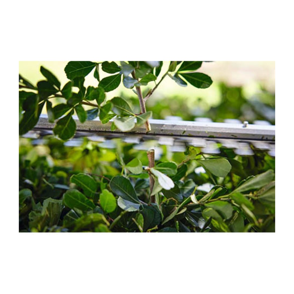 Μπορντουροψάλιδο Επαναφορτιζόμενο HSA 40 AS SYSTEM STIHL