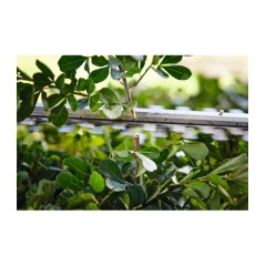 Μπορντουροψάλιδο Επαναφορτιζόμενο HSA 40 AS SYSTEM STIHL