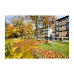 Petrol Blower BG 66-D STIHL