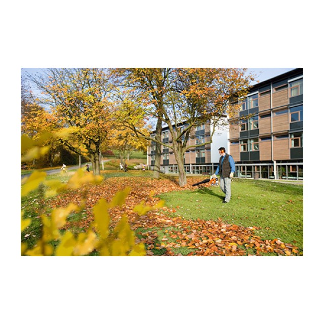 Petrol Blower BG 66-D STIHL